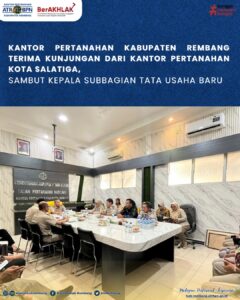 WhatsApp Image 2025-10-15 at 22.03.41