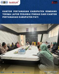 WhatsApp Image 2025-10-27 at 20.36.59