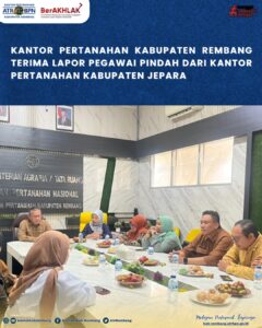 WhatsApp Image 2025-10-27 at 20.51.55