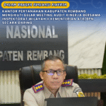 Dalam Rangka Evaluasi Kinerja. Kantor Pertanahan Kabupaten Rembang Mengikuti Gelar Meeting Audit Kinerja Bersama Inspektorat Wilayah II Kementerian ATR/BPN Secara Daring