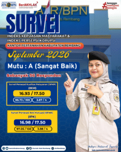 INFOGRAFIS (30)